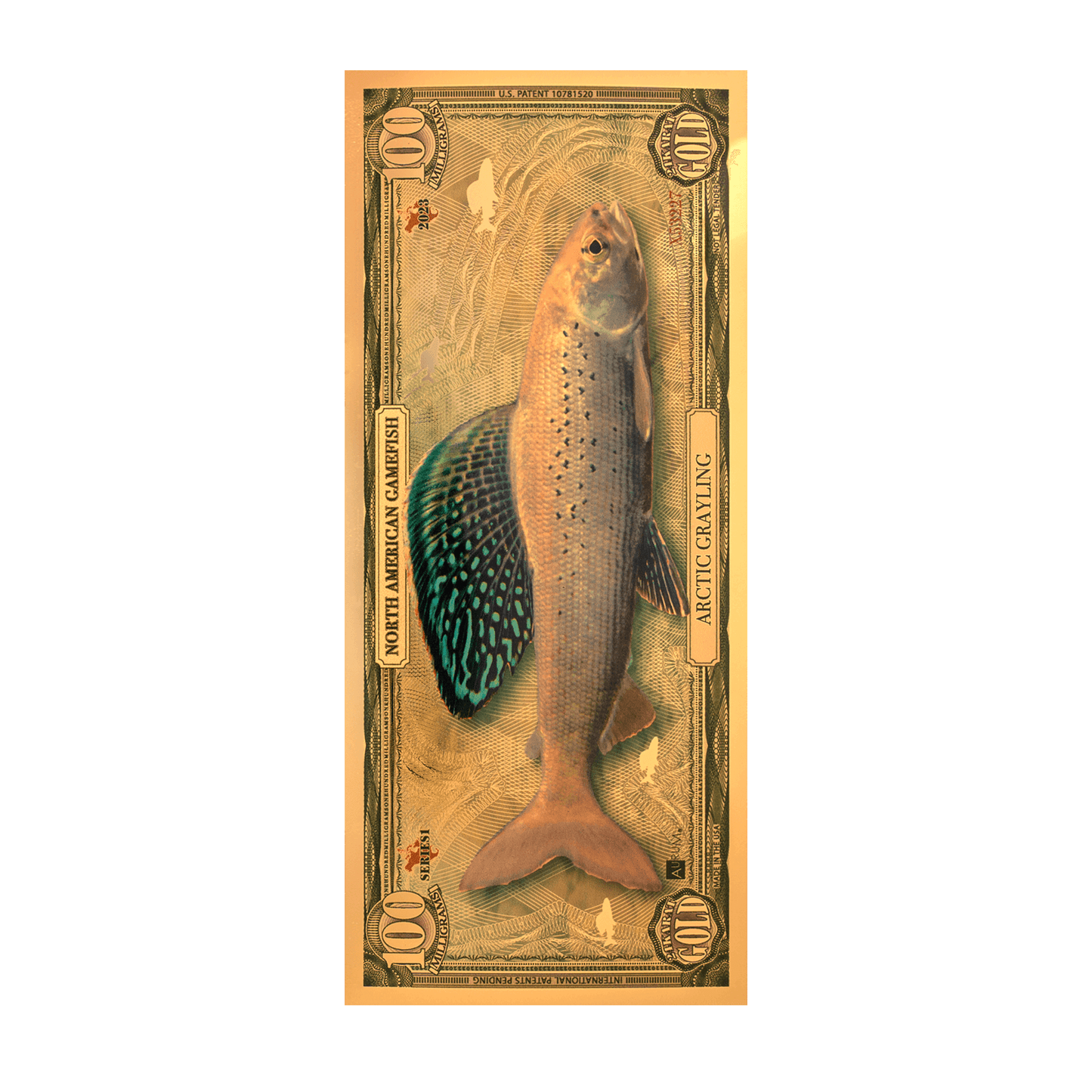 Arctic Grayling Aurum