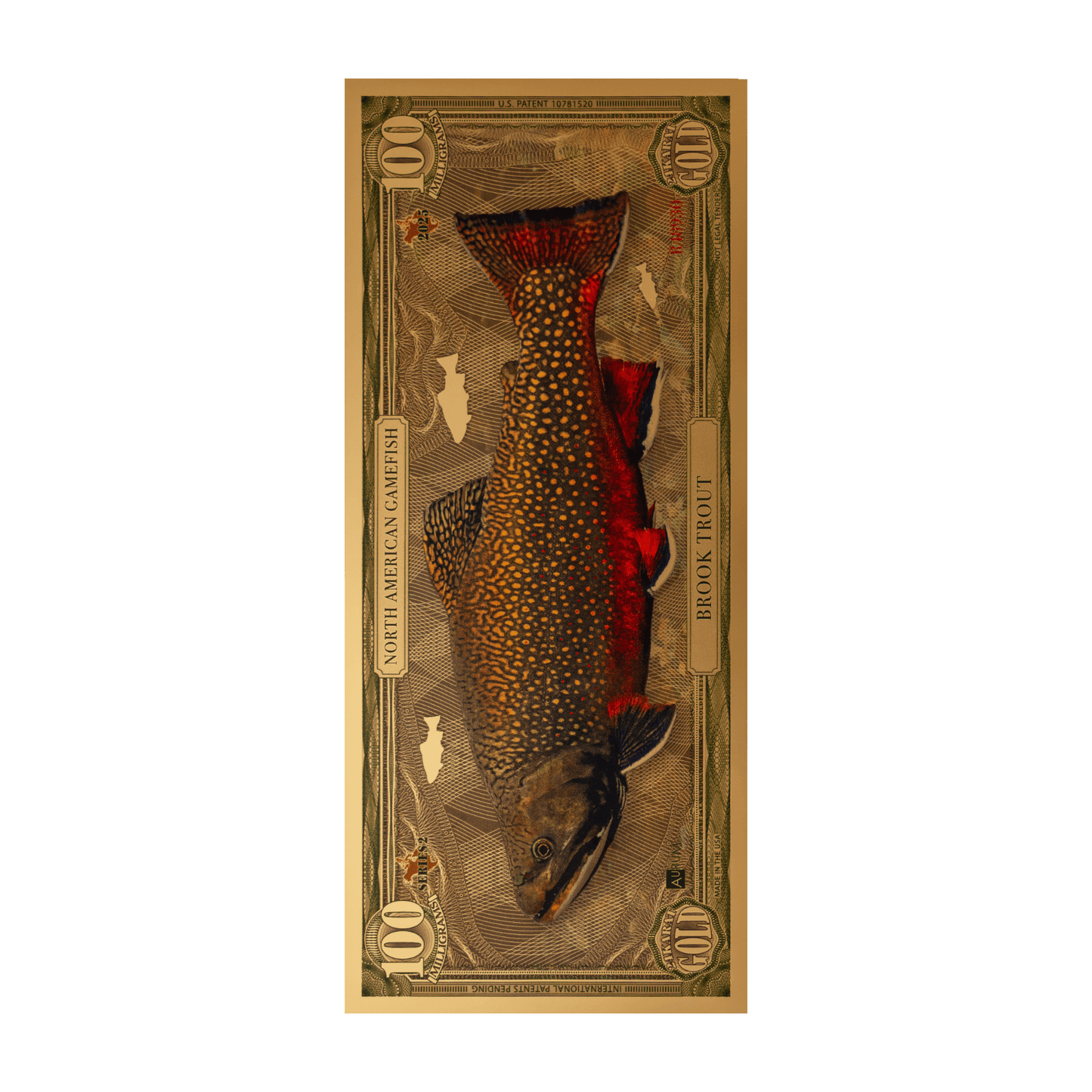 Brook Trout Aurum