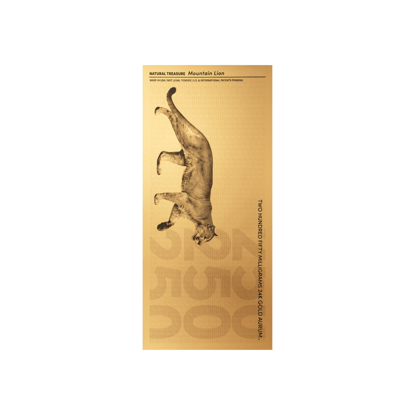 Mountain Lion Aurum