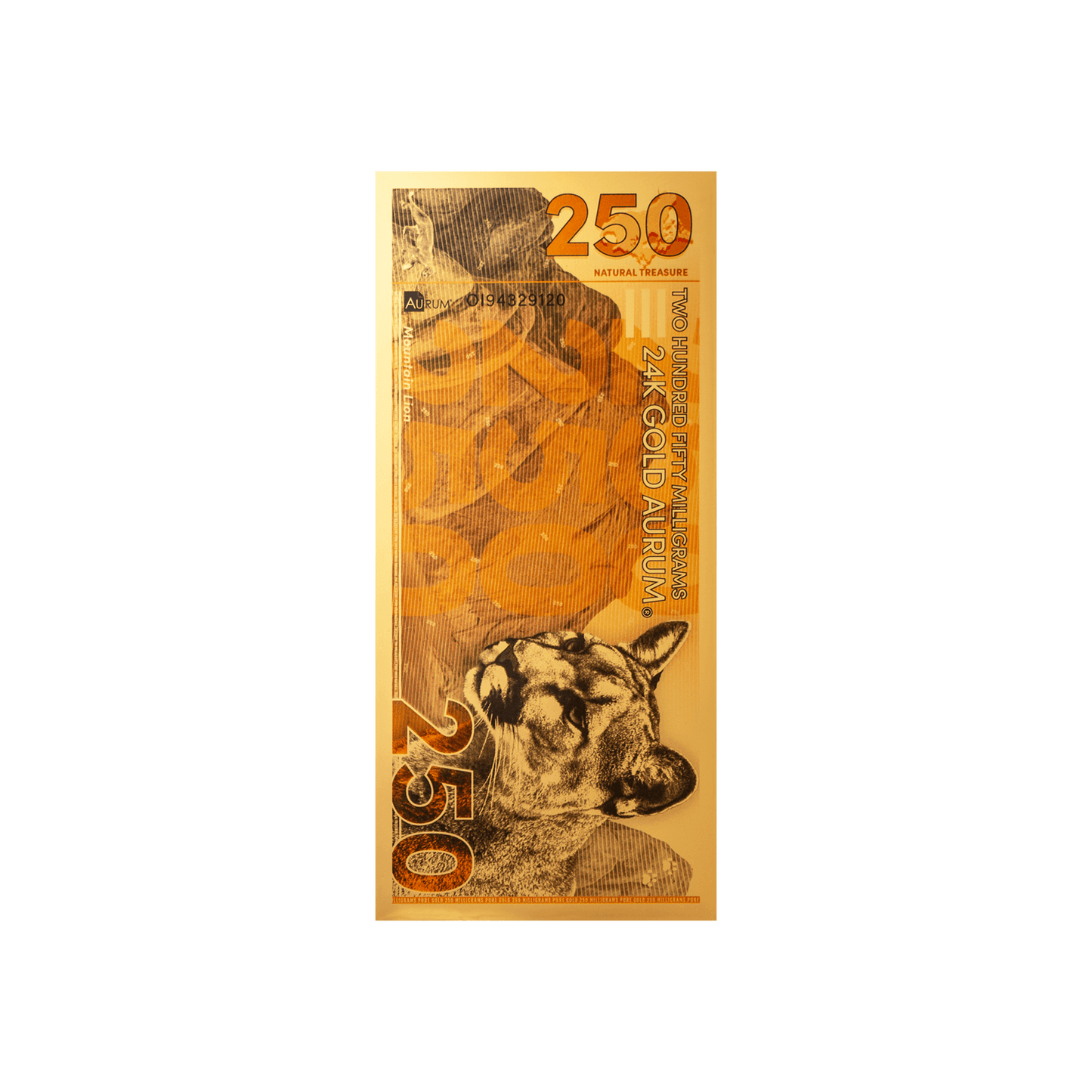Mountain Lion Aurum