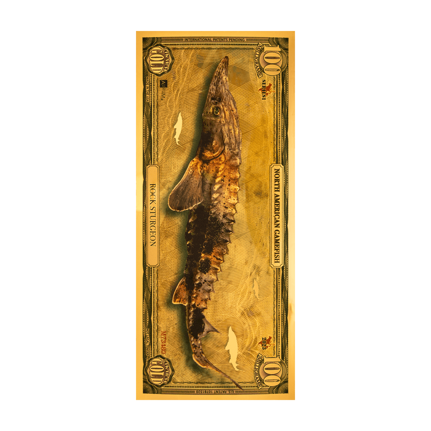 Rock Sturgeon Aurum