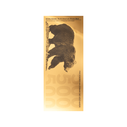 Brown Bear Aurum