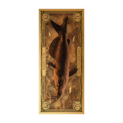 Blue Catfish Aurum