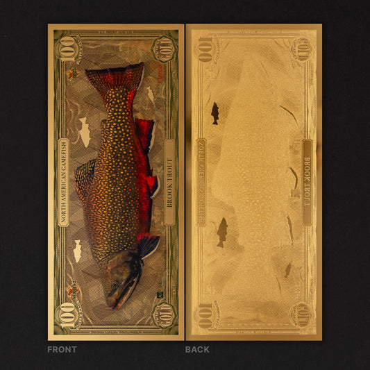 Brook Trout Aurum