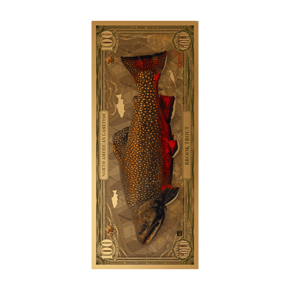 Brook Trout Aurum