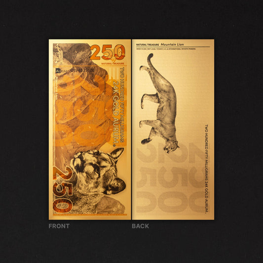 Mountain Lion Aurum