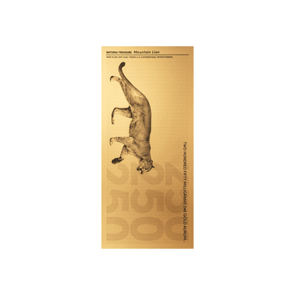 Mountain Lion Aurum