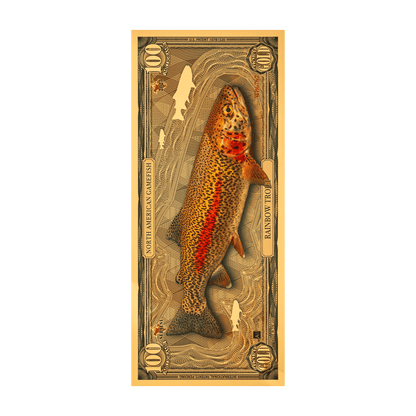 Rainbow Trout Aurum