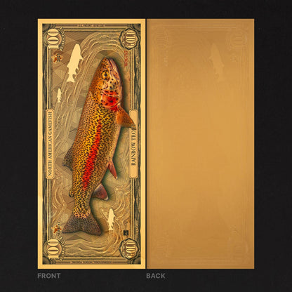 Rainbow Trout Aurum