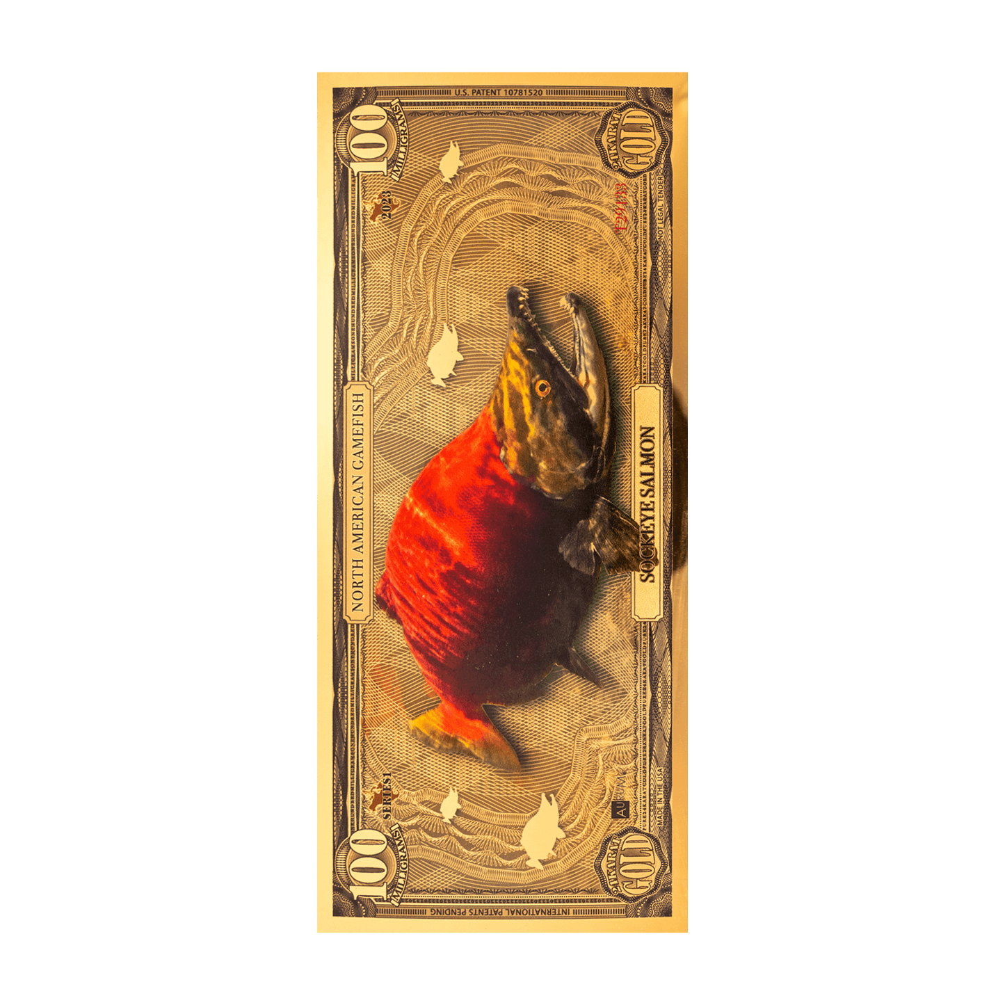Sockeye Salmon Aurum