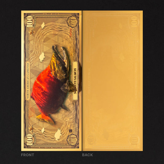 Sockeye Salmon Aurum